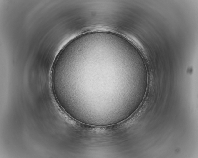 X0000093521190200710261213