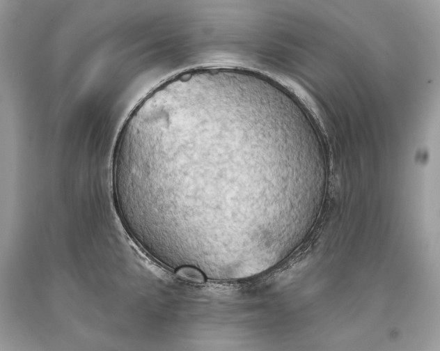 X0000093521191200710261213