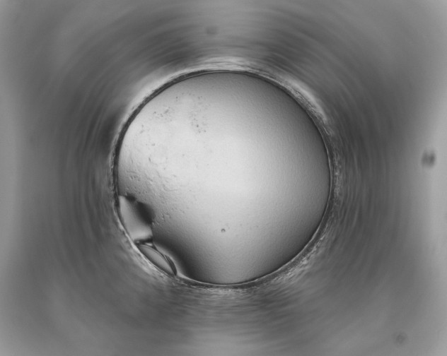 X0000093521192200710261213