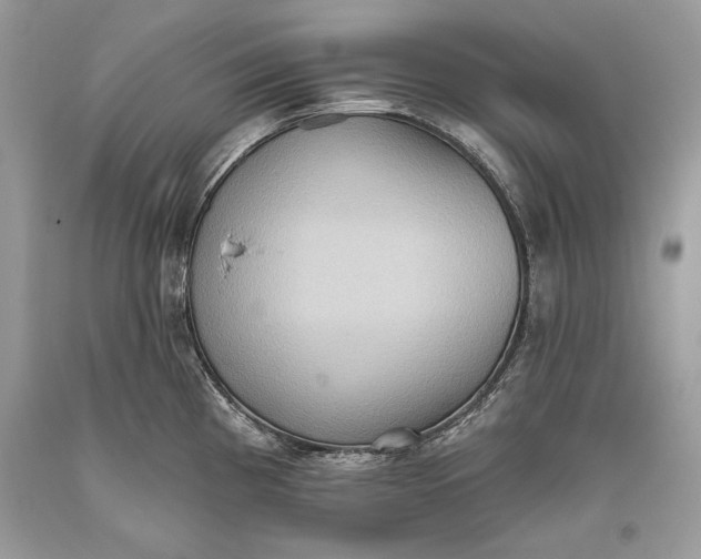 X0000093521193200710261213