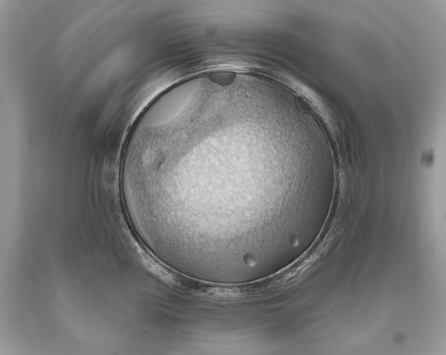 X0000093521194200710261213