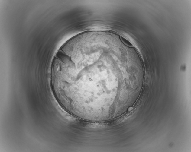 X0000093521195200710261213