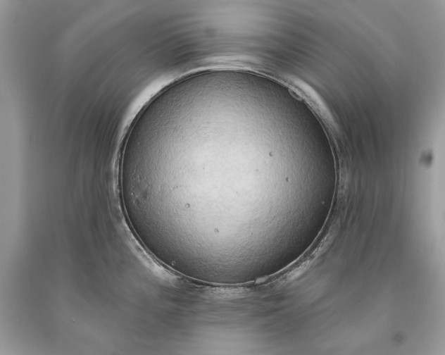 X0000093521196200710261212