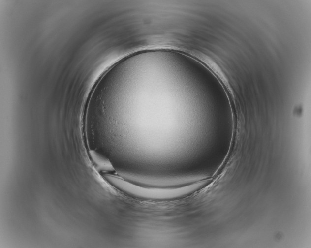 X0000093521197200710261212