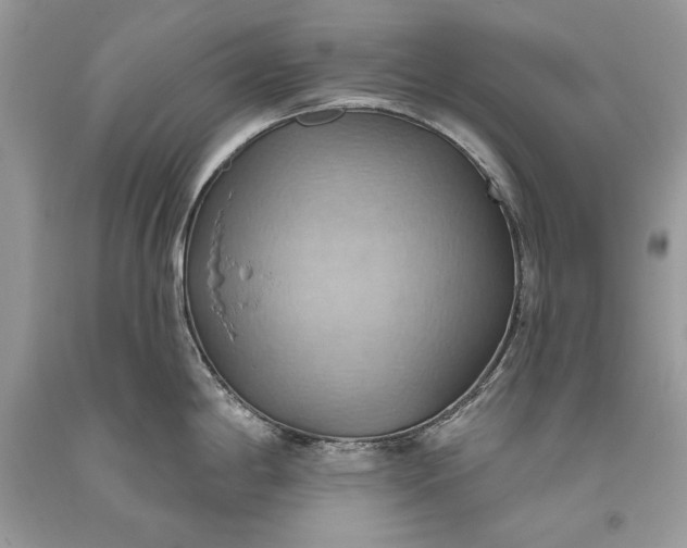 X0000093521198200710261212