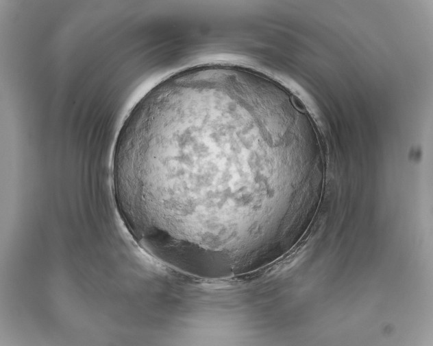 X0000093521199200710261212