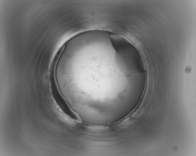 X0000093521200200710261212