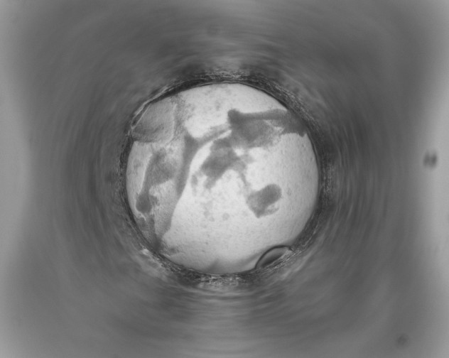 X0000093521201200710261212