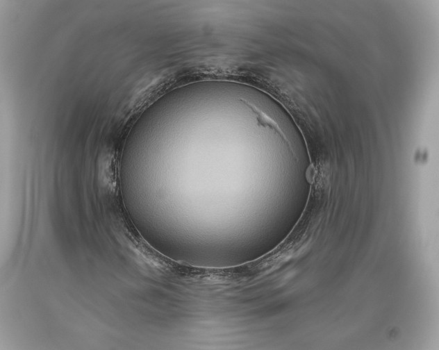 X0000093521202200710261212