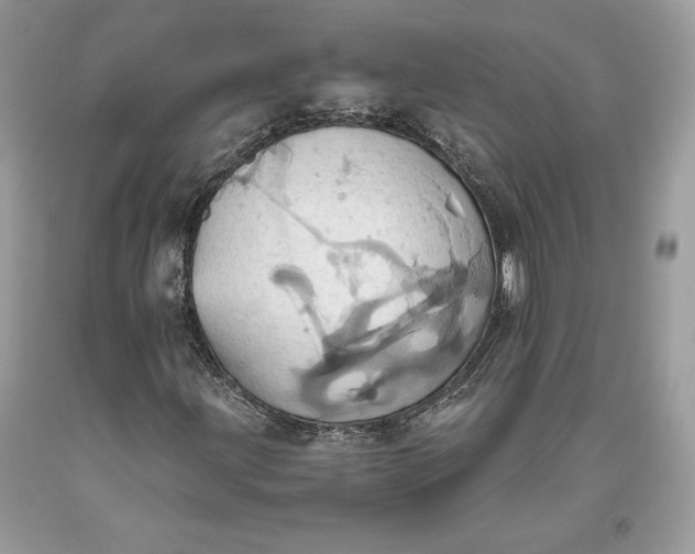 X0000093521203200710261212