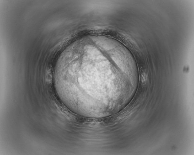 X0000093521204200710261212