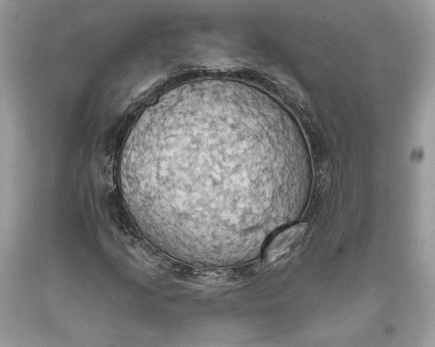 X0000093521205200710261212