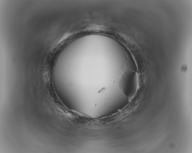 X0000093521206200710261212