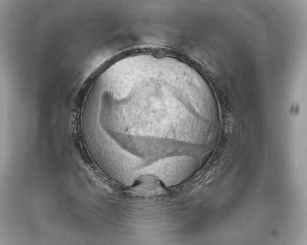 X0000093521208200710261212