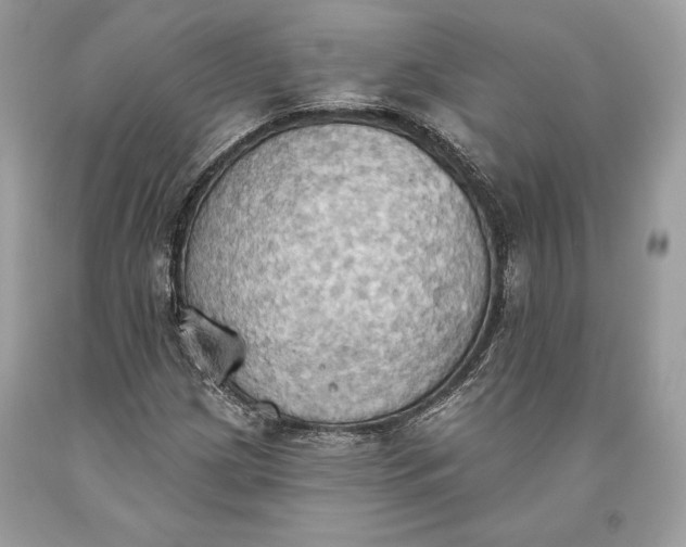 X0000093521209200710261212