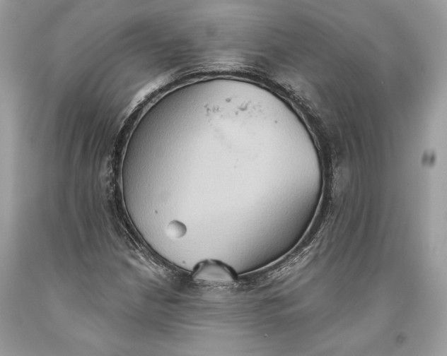 X0000093521210200710261212