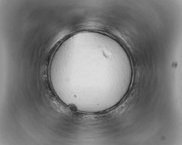 X0000093521211200710261212