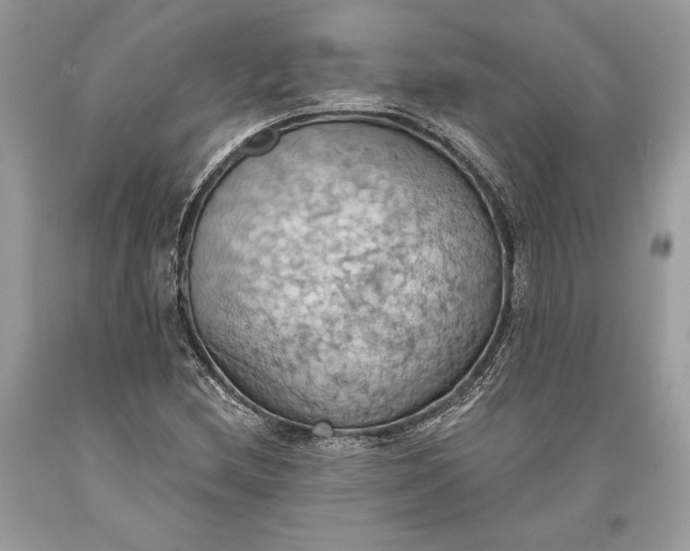 X0000093521212200710261212