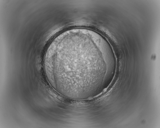 X0000093521213200710261212