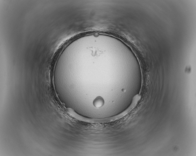 X0000093521214200710261212