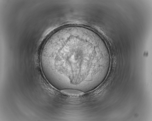 X0000093521215200710261212