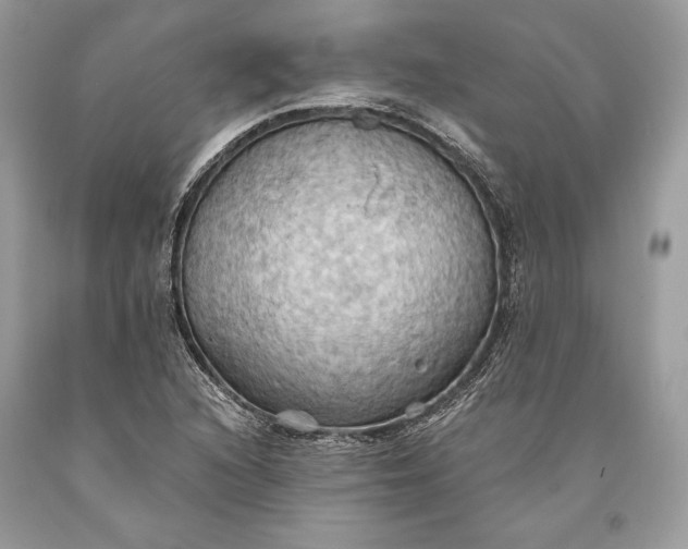 X0000093521216200710261212