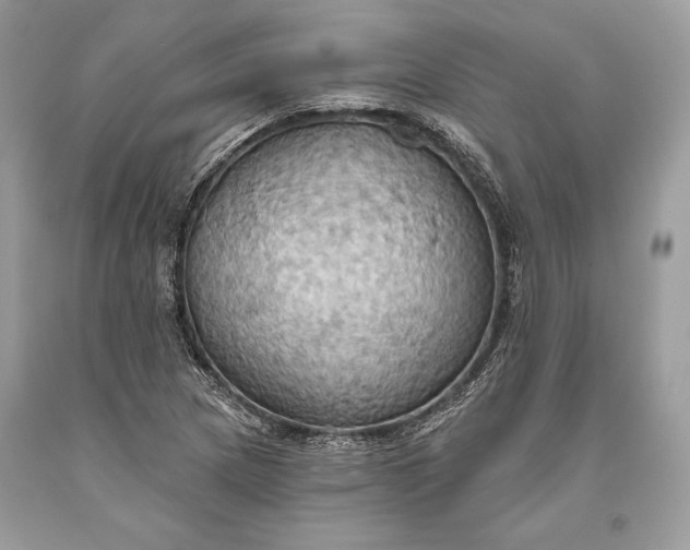 X0000093521217200710261212