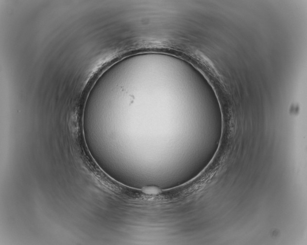 X0000093521218200710261212