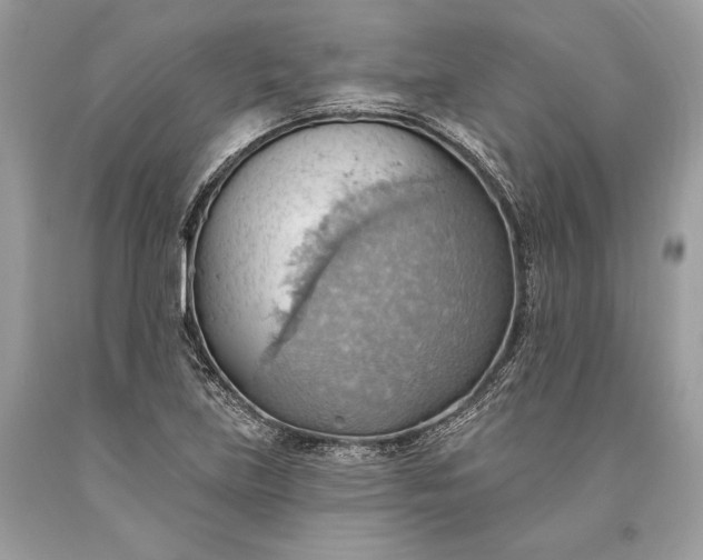 X0000093521219200710261212