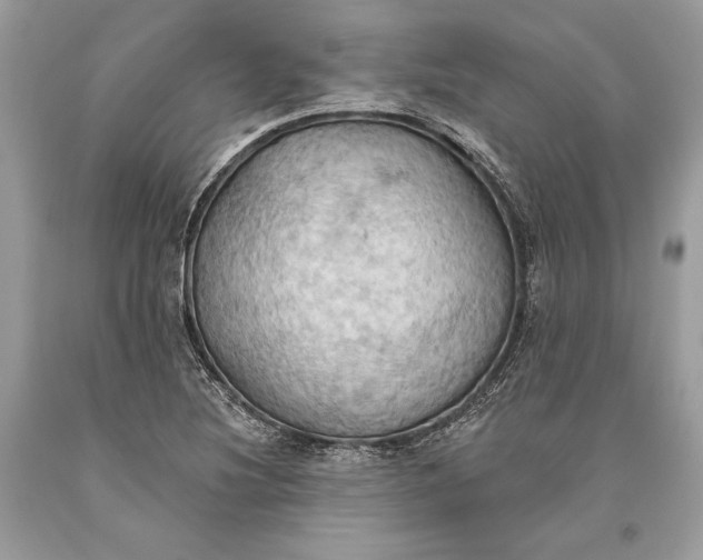 X0000093521220200710261212