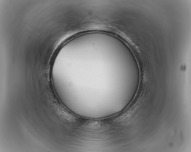 X0000093521222200710261212