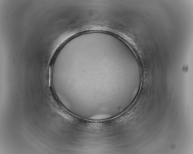 X0000093521223200710261212