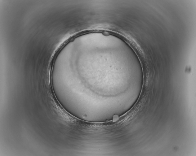 X0000093521224200710261212