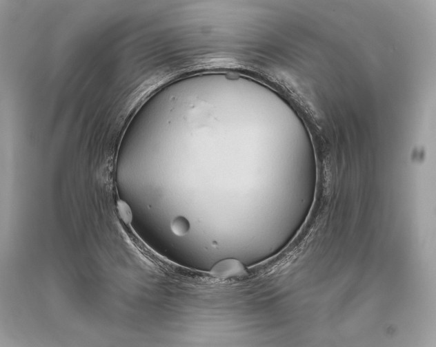 X0000093521225200710261212