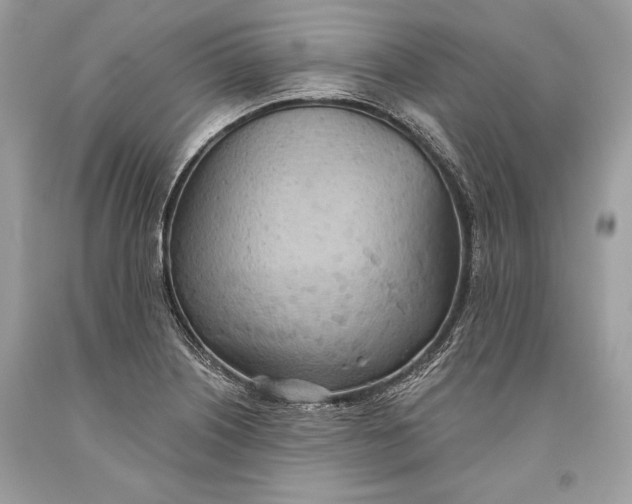 X0000093521226200710261212