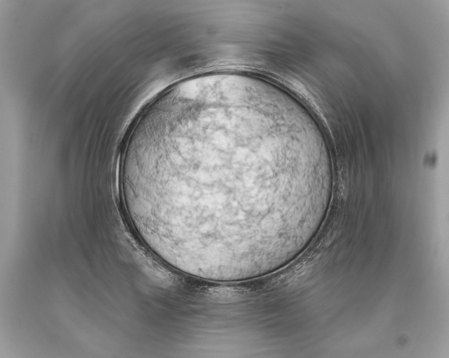 X0000093521227200710261212