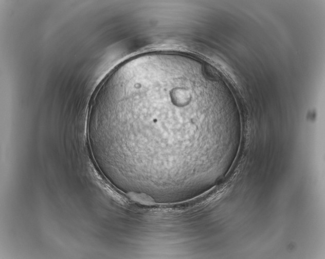 X0000093521228200710261212