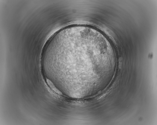 X0000093521229200710261212