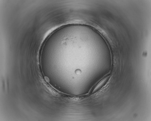 X0000093521230200710261212