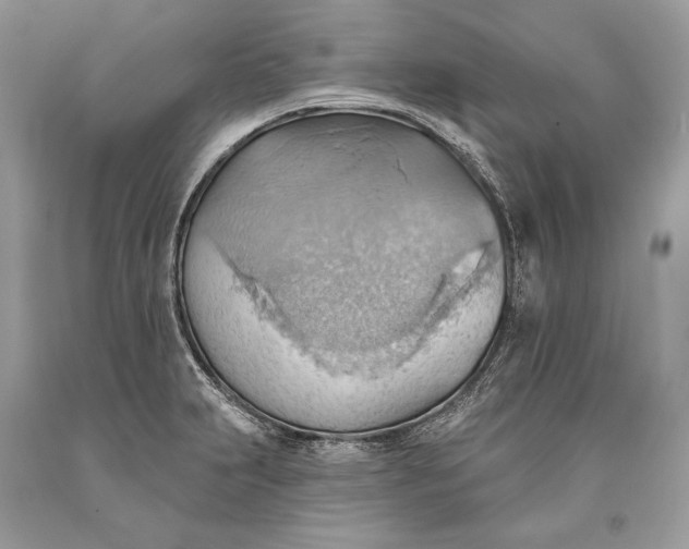 X0000093521231200710261212