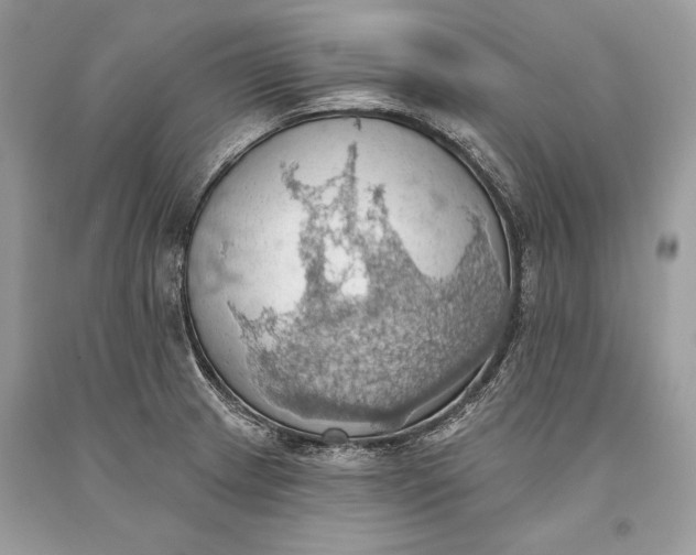 X0000093521233200710261212