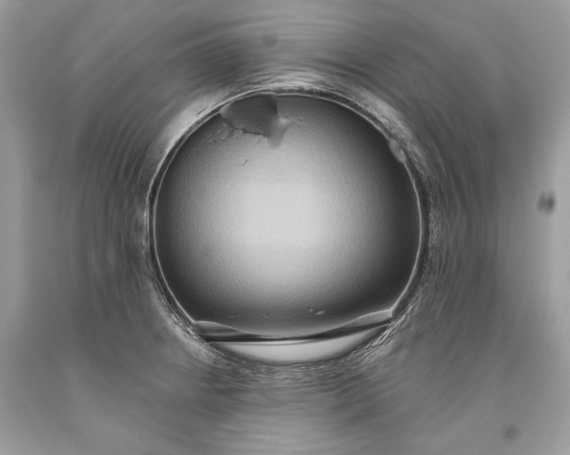 X0000093521234200710261212