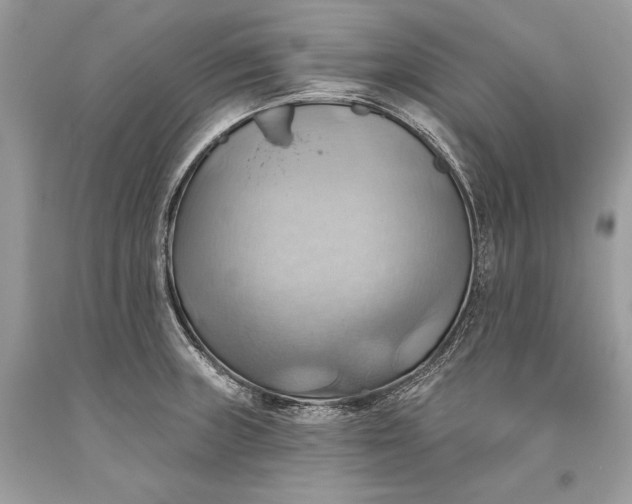 X0000093521235200710261212