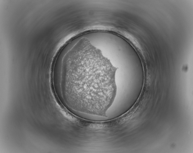 X0000093521237200710261212