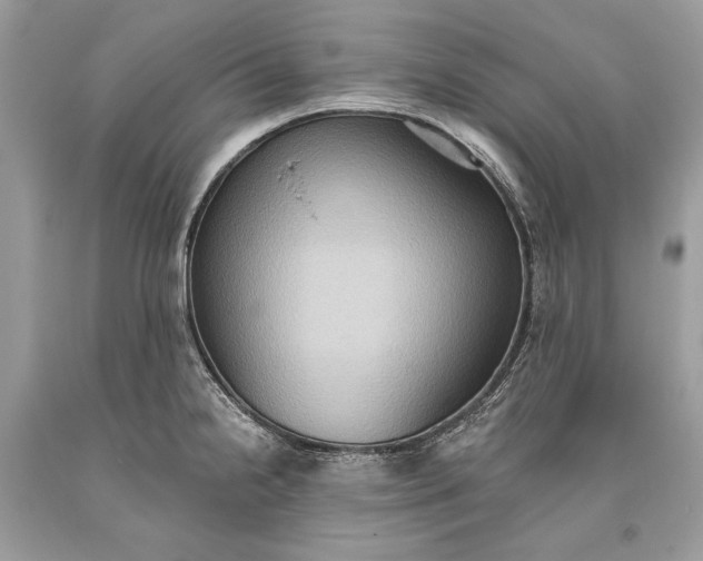 X0000093521238200710261212