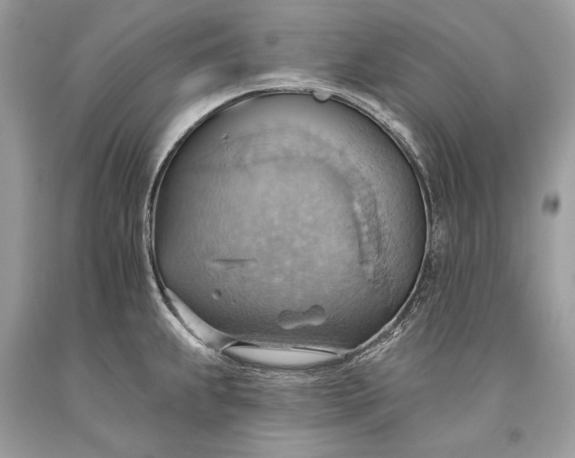 X0000093521239200710261212