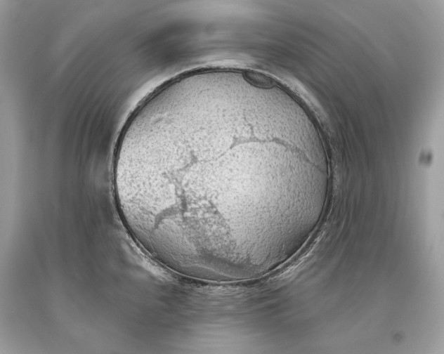 X0000093521240200710261212