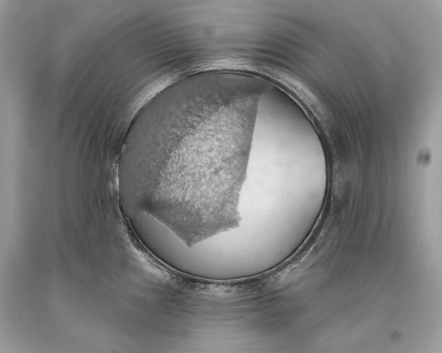 X0000093521241200710261212