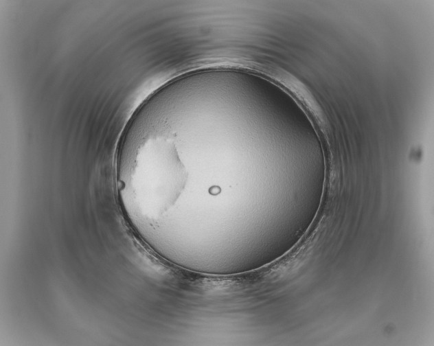 X0000093521242200710261212