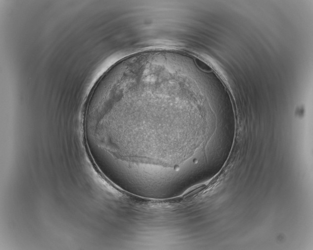 X0000093521243200710261212